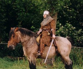 pferd1.jpg