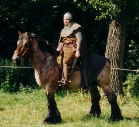 pferd2.jpg