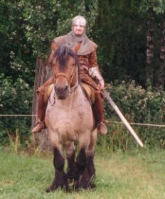 pferd6.jpg