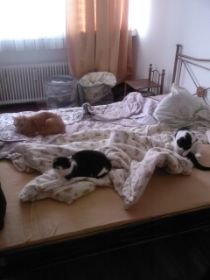 Foto0005.jpg